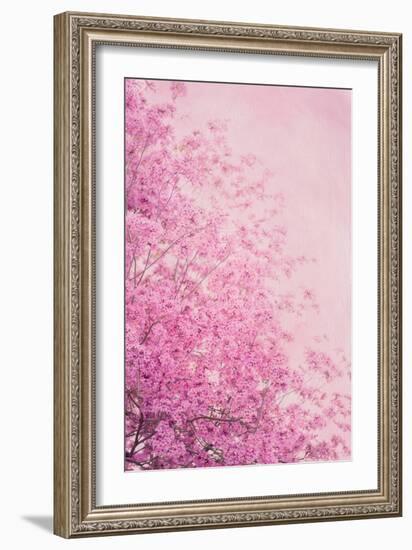 Pink On Pink II-Elizabeth Urquhart-Framed Photographic Print