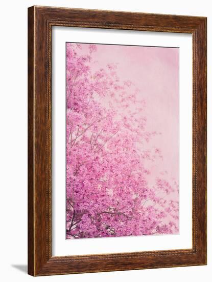 Pink On Pink II-Elizabeth Urquhart-Framed Photographic Print