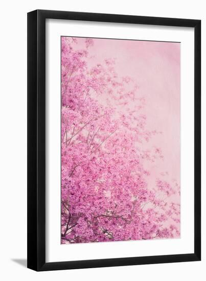 Pink On Pink II-Elizabeth Urquhart-Framed Photographic Print