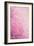 Pink On Pink II-Elizabeth Urquhart-Framed Photographic Print