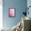 Pink On Pink II-Elizabeth Urquhart-Framed Stretched Canvas displayed on a wall