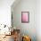 Pink On Pink II-Elizabeth Urquhart-Framed Stretched Canvas displayed on a wall