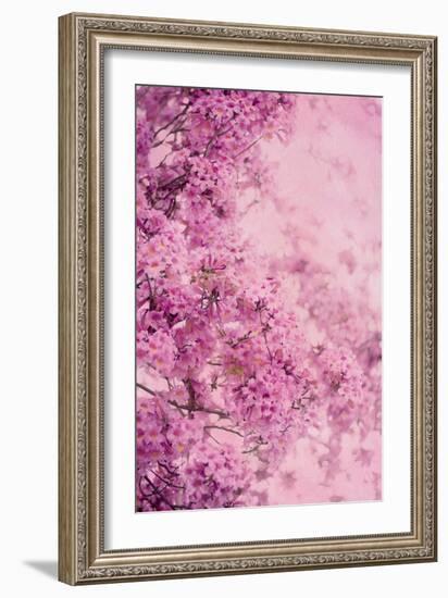 Pink On Pink III-Elizabeth Urquhart-Framed Photographic Print