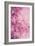 Pink On Pink III-Elizabeth Urquhart-Framed Photographic Print