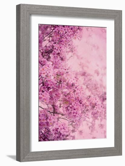 Pink On Pink III-Elizabeth Urquhart-Framed Photographic Print