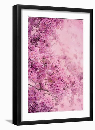 Pink On Pink III-Elizabeth Urquhart-Framed Photo