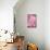 Pink On Pink IV-Elizabeth Urquhart-Photo displayed on a wall