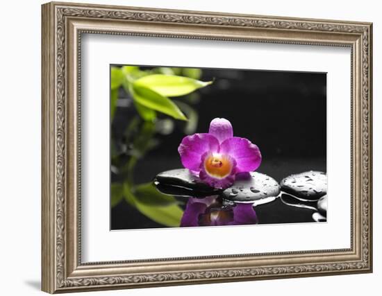 Pink Orchid and Stones with Bamboo Green Leaf-crystalfoto-Framed Photographic Print