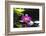 Pink Orchid and Stones with Bamboo Green Leaf-crystalfoto-Framed Photographic Print