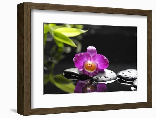 Pink Orchid and Stones with Bamboo Green Leaf-crystalfoto-Framed Photographic Print