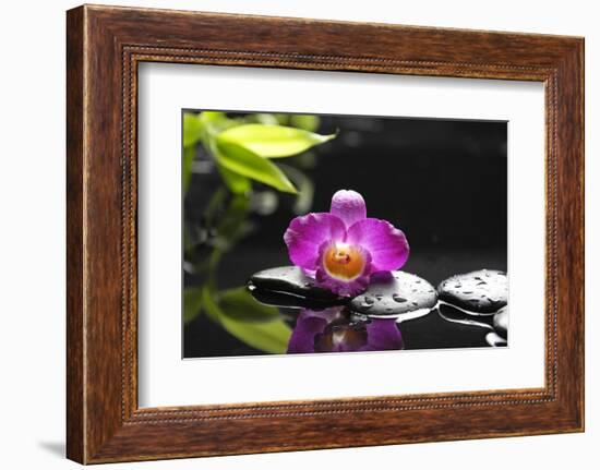 Pink Orchid and Stones with Bamboo Green Leaf-crystalfoto-Framed Photographic Print