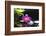 Pink Orchid and Stones with Bamboo Green Leaf-crystalfoto-Framed Photographic Print