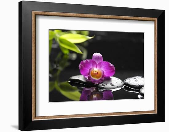 Pink Orchid and Stones with Bamboo Green Leaf-crystalfoto-Framed Photographic Print