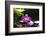 Pink Orchid and Stones with Bamboo Green Leaf-crystalfoto-Framed Photographic Print