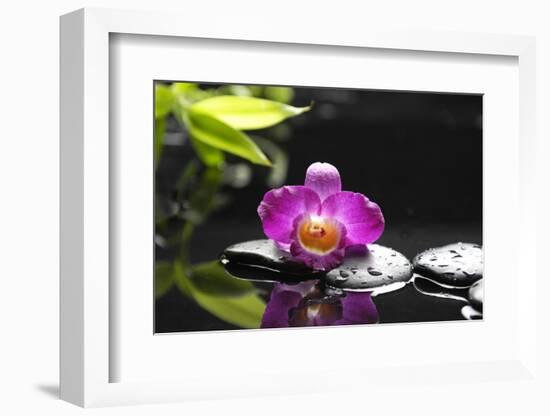 Pink Orchid and Stones with Bamboo Green Leaf-crystalfoto-Framed Photographic Print