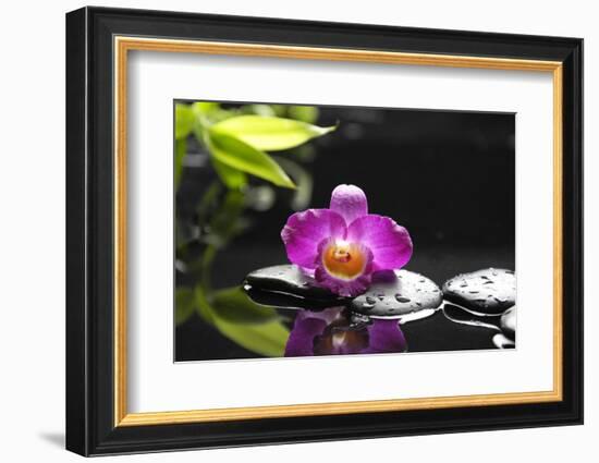 Pink Orchid and Stones with Bamboo Green Leaf-crystalfoto-Framed Photographic Print