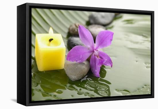 Pink Orchid and Stones with Yellow Candle on Wet Banana Leaf-crystalfoto-Framed Premier Image Canvas