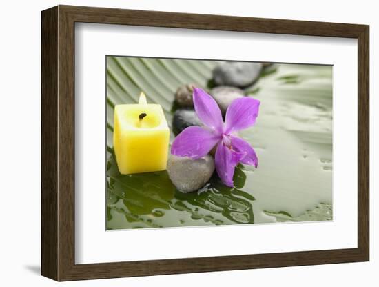 Pink Orchid and Stones with Yellow Candle on Wet Banana Leaf-crystalfoto-Framed Photographic Print