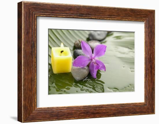 Pink Orchid and Stones with Yellow Candle on Wet Banana Leaf-crystalfoto-Framed Photographic Print