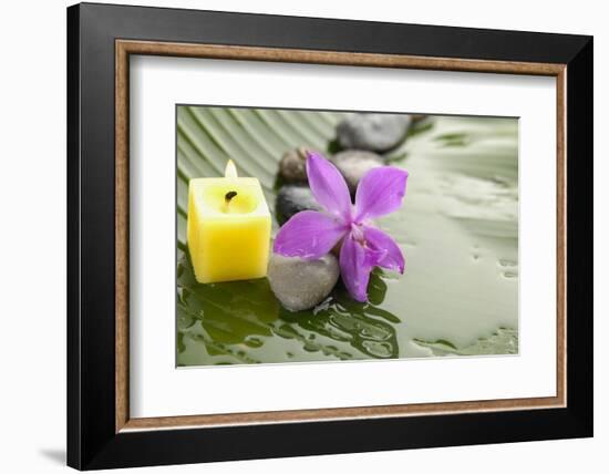 Pink Orchid and Stones with Yellow Candle on Wet Banana Leaf-crystalfoto-Framed Photographic Print