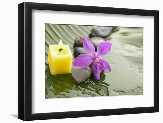 Pink Orchid and Stones with Yellow Candle on Wet Banana Leaf-crystalfoto-Framed Photographic Print