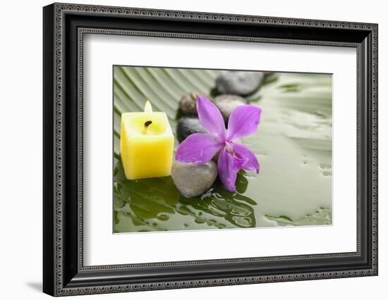 Pink Orchid and Stones with Yellow Candle on Wet Banana Leaf-crystalfoto-Framed Photographic Print