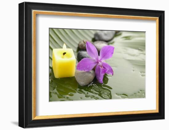 Pink Orchid and Stones with Yellow Candle on Wet Banana Leaf-crystalfoto-Framed Photographic Print