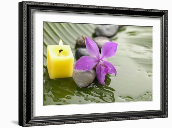 Pink Orchid and Stones with Yellow Candle on Wet Banana Leaf-crystalfoto-Framed Photographic Print