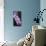 Pink Orchid Blooms-Anna Miller-Mounted Photographic Print displayed on a wall