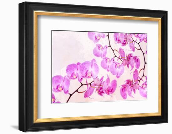 Pink Orchid I-null-Framed Art Print