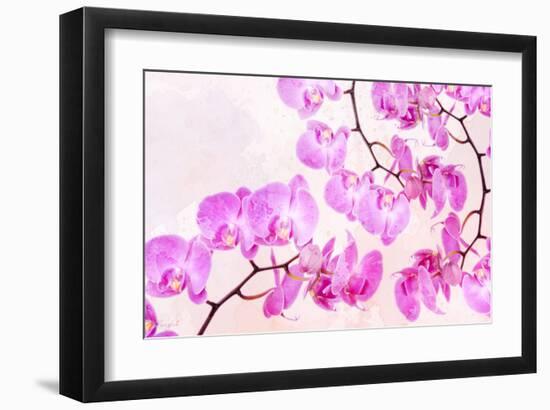 Pink Orchid I-null-Framed Art Print