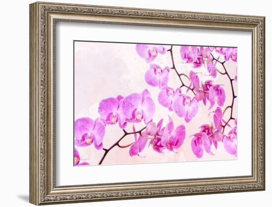 Pink Orchid I-null-Framed Art Print