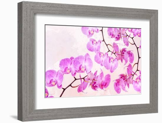 Pink Orchid I-null-Framed Art Print