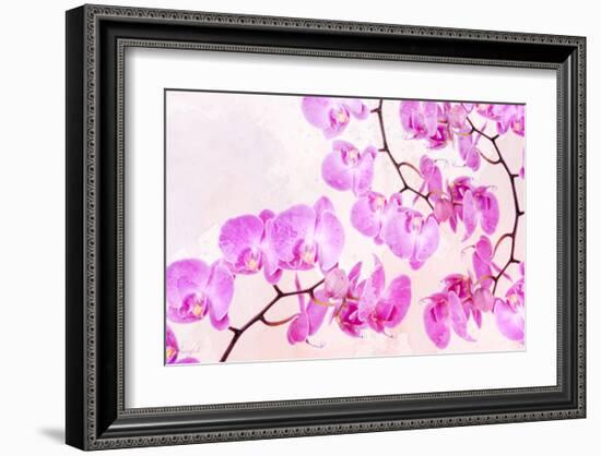 Pink Orchid I-null-Framed Art Print