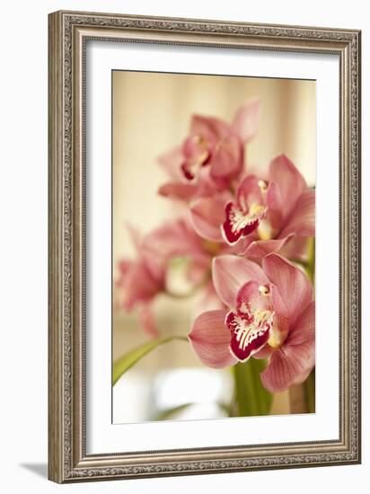 Pink Orchid I-Karyn Millet-Framed Photographic Print