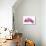 Pink Orchid on White 01-Tom Quartermaine-Giclee Print displayed on a wall