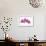 Pink Orchid on White 01-Tom Quartermaine-Framed Giclee Print displayed on a wall