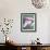 Pink Orchid-Amelie Vuillon-Framed Art Print displayed on a wall