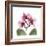 Pink Orchid-Albert Koetsier-Framed Art Print