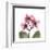 Pink Orchid-Albert Koetsier-Framed Art Print