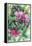 Pink Orchid-Michelle Faber-Framed Premier Image Canvas