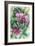 Pink Orchid-Michelle Faber-Framed Giclee Print