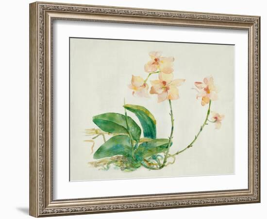 Pink Orchid-Maya Woods-Framed Art Print