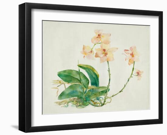 Pink Orchid-Maya Woods-Framed Art Print
