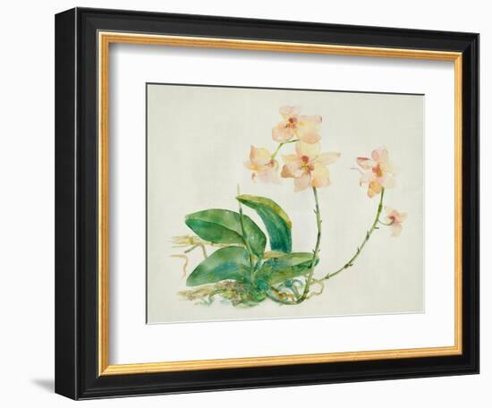 Pink Orchid-Maya Woods-Framed Premium Giclee Print