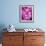 Pink Orchids-Darrell Gulin-Framed Photographic Print displayed on a wall