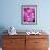 Pink Orchids-Darrell Gulin-Framed Photographic Print displayed on a wall