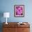 Pink Orchids-Darrell Gulin-Framed Photographic Print displayed on a wall