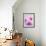 Pink Orchids-null-Framed Photographic Print displayed on a wall