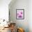 Pink Orchids-null-Framed Photographic Print displayed on a wall